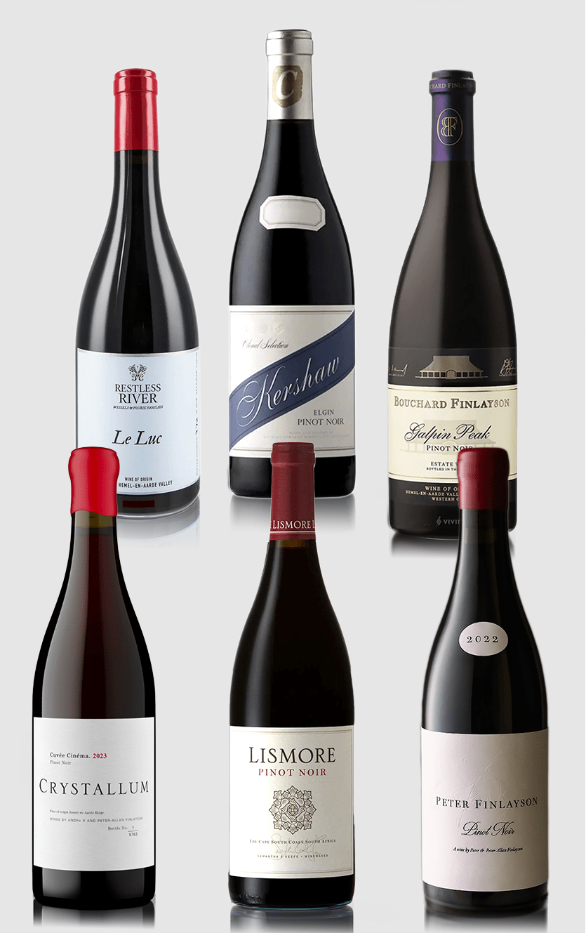 Luksus Smagekasse med Pinot Noir fra Sydafrika